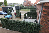 Efeuhecke / Fertighecke / Naturhecke -Woerner